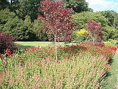 188 Longwood Gardens [2008 August 23]